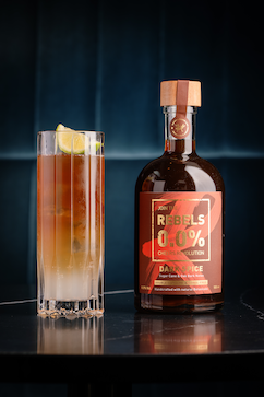 REBELS 0.0% DARK SPICE 500ml