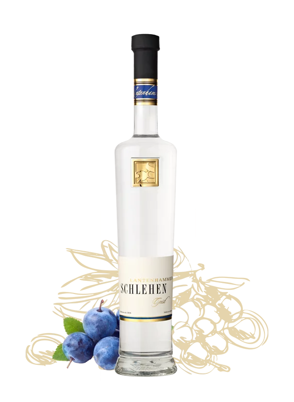 Schlehengeist 42%